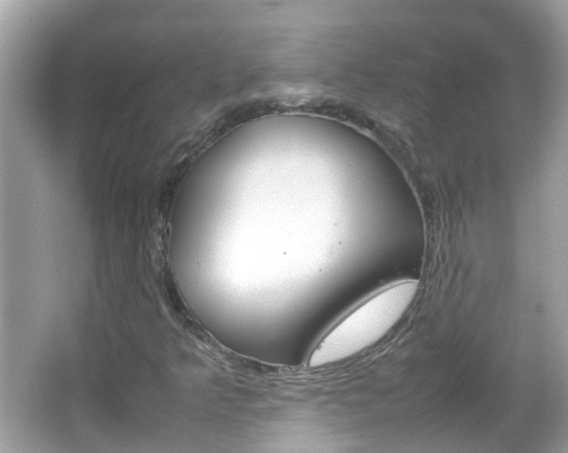 X0000066081349200603100926