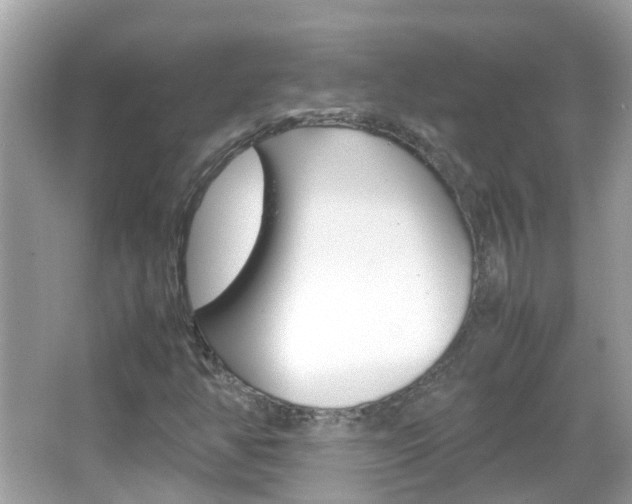 X0000066081350200603100926