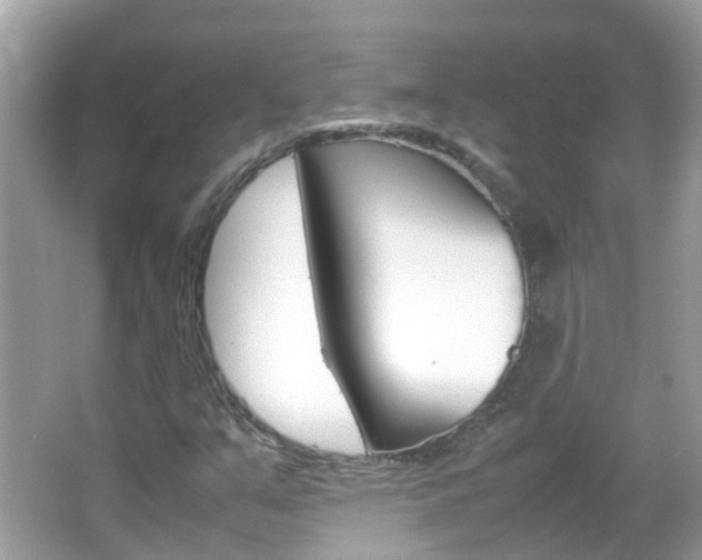 X0000066081351200603100926