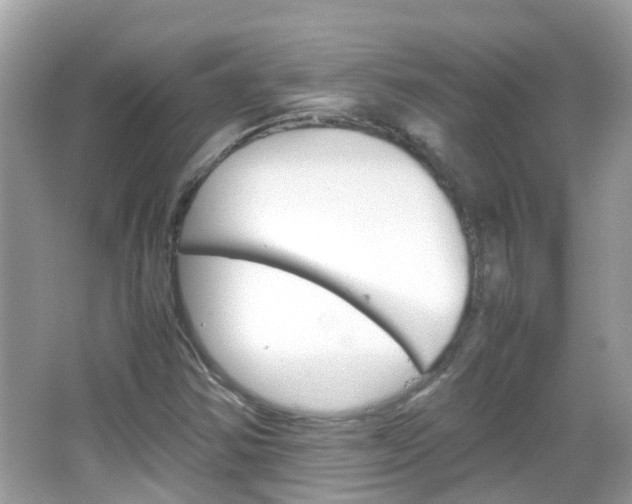 X0000066081354200603100926