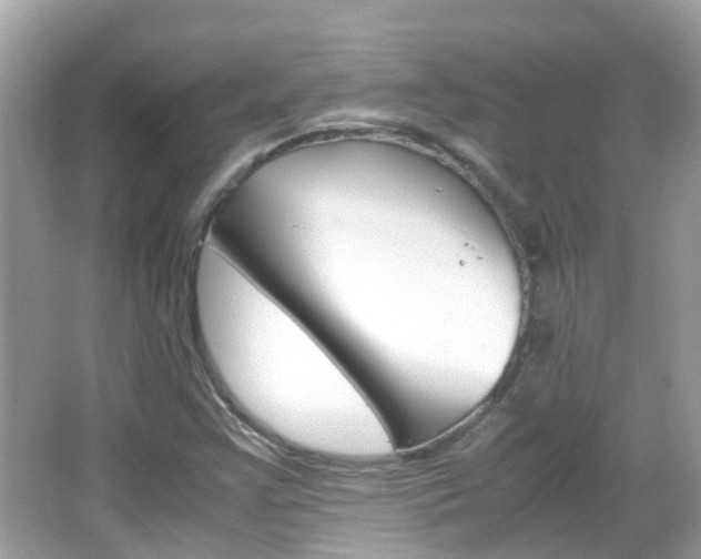 X0000066081355200603100926