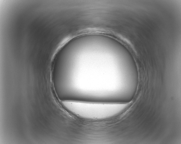 X0000066081365200603100926