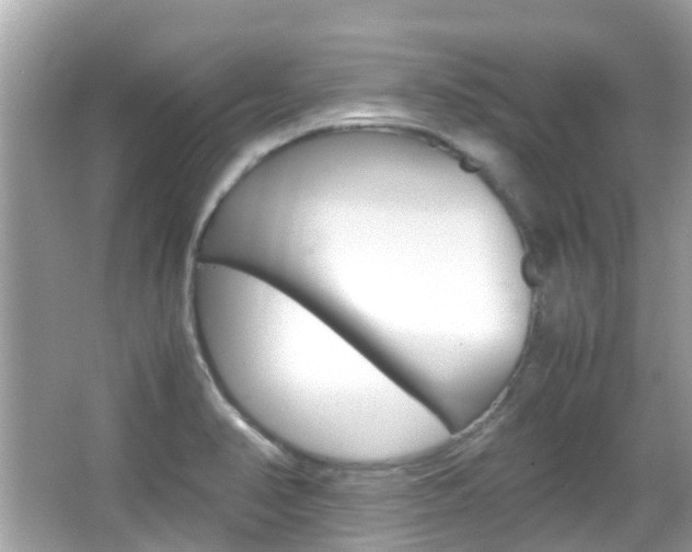 X0000066081374200603100926