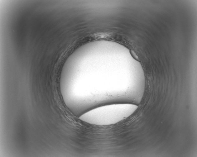 X0000066081393200603100925
