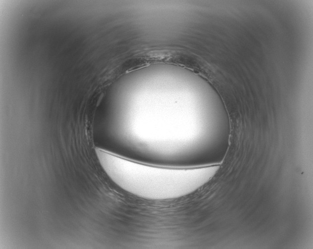 X0000066081394200603100925