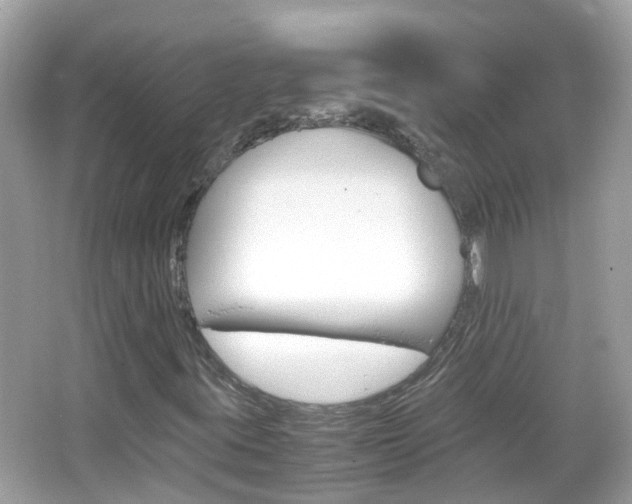 X0000066081395200603100925