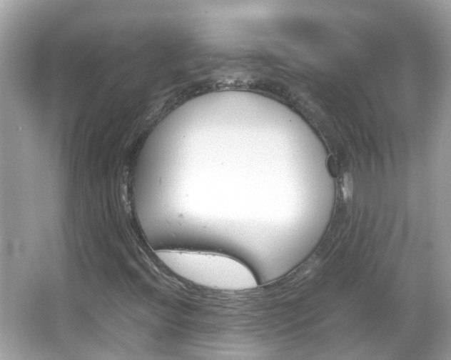 X0000066081396200603100925