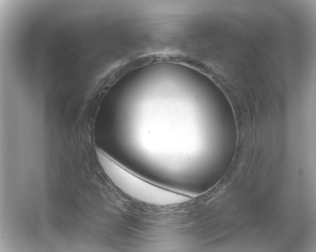 X0000066081398200603100925
