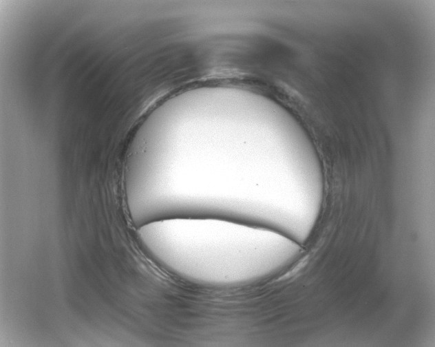 X0000066081401200603100925