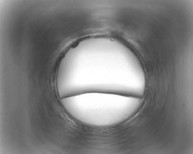 X0000066081407200603100925