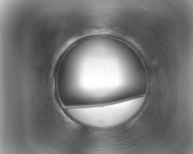 X0000066081414200603100925
