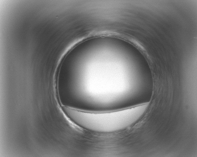 X0000066081430200603100926