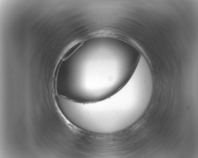 X0000066081434200603100926
