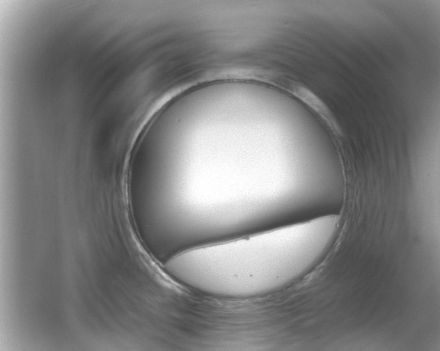 X0000066081436200603100926