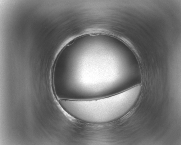 X0000066081438200603100926