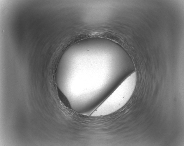 X0000066081441200603100925
