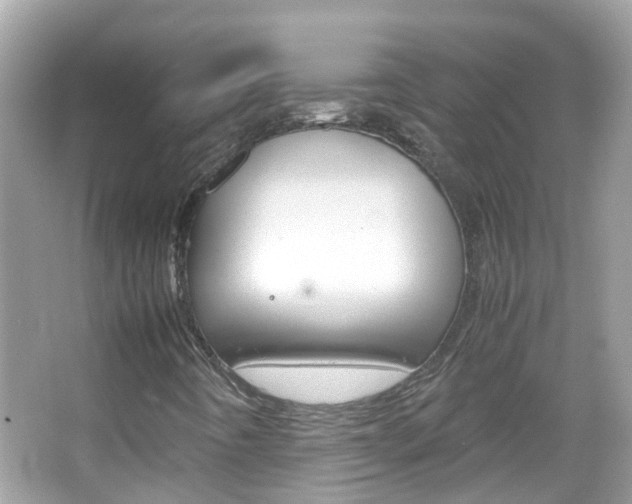 X0000066081442200603100925