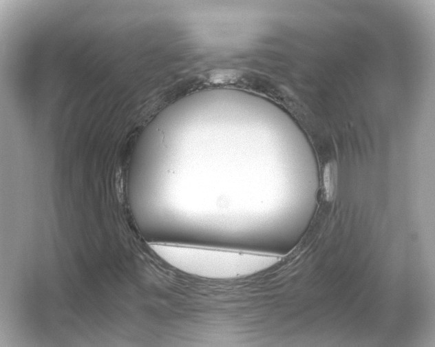 X0000066081443200603100925