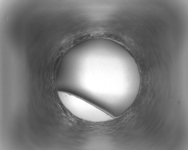 X0000066081445200603100925