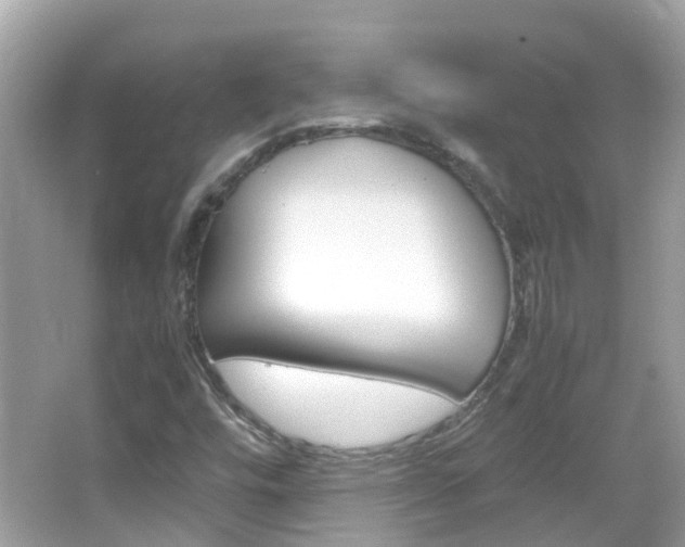 X0000066081448200603100925