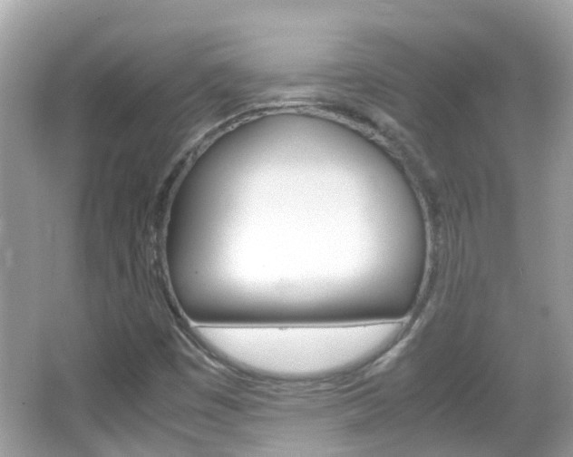X0000066081449200603100925