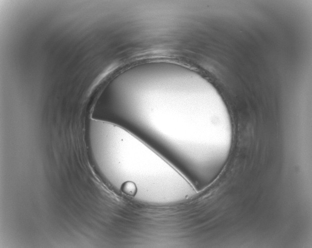 X0000066081450200603100925