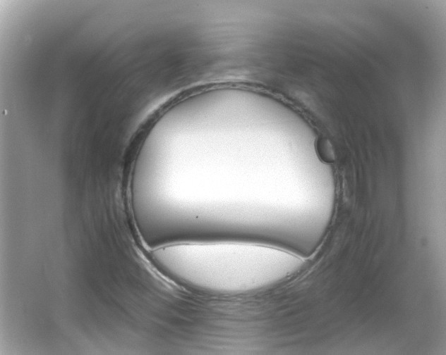 X0000066081452200603100925