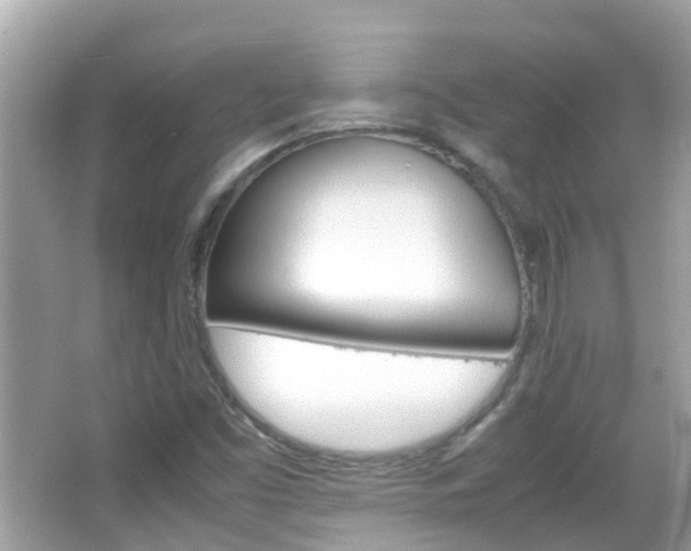 X0000066081453200603100925
