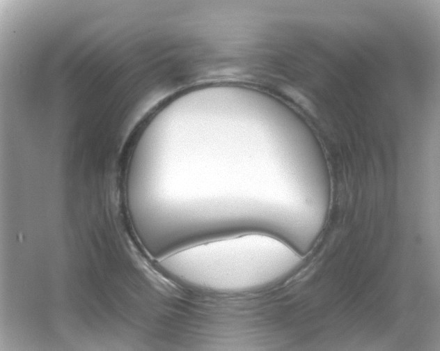 X0000066081458200603100925