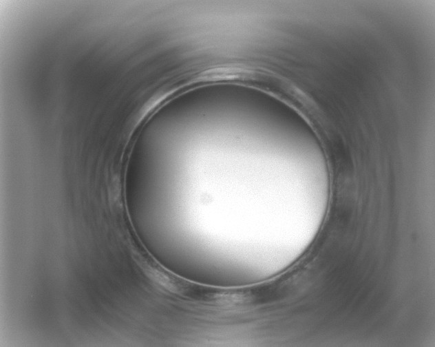 X0000066081465200603100925