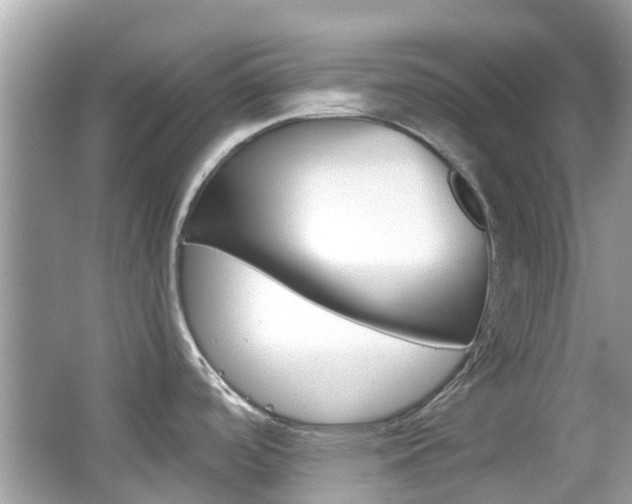 X0000066081488200603100924