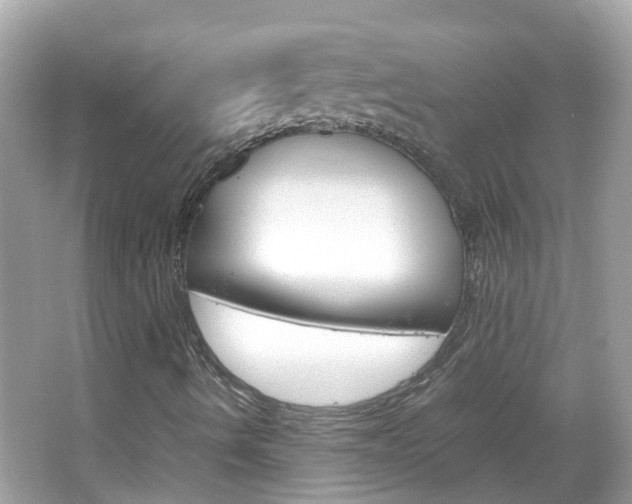X0000066081490200603100923