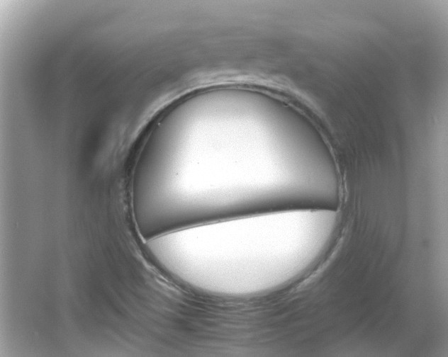 X0000066081501200603100924