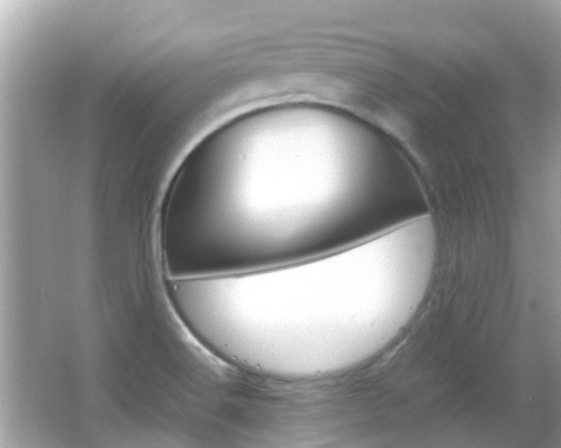 X0000066081516200603100924