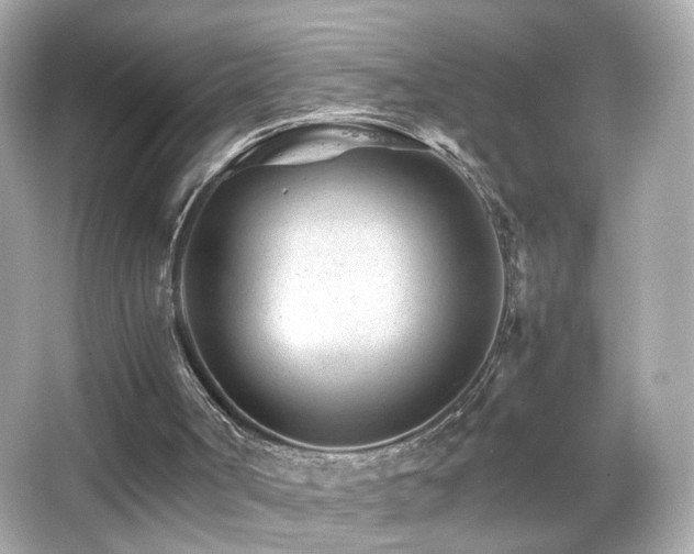 X0000066080002200603101152