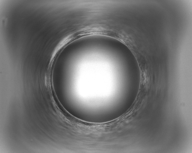 X0000066080004200603101152