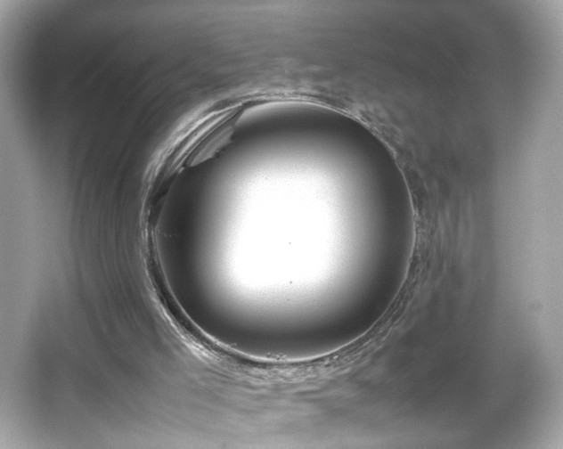 X0000066080005200603101152
