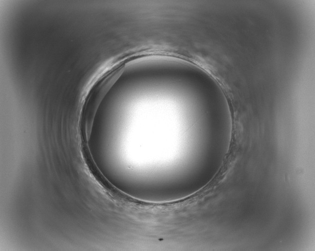 X0000066080007200603101152