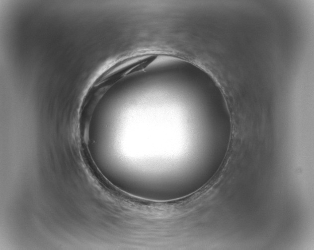 X0000066080008200603101152