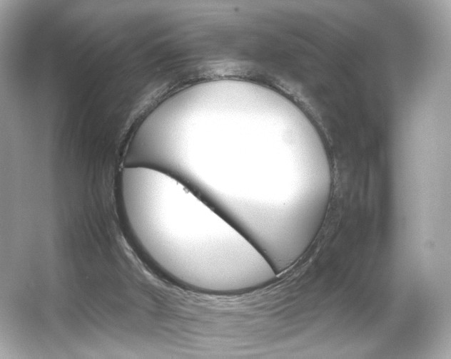 X0000066080010200603101152