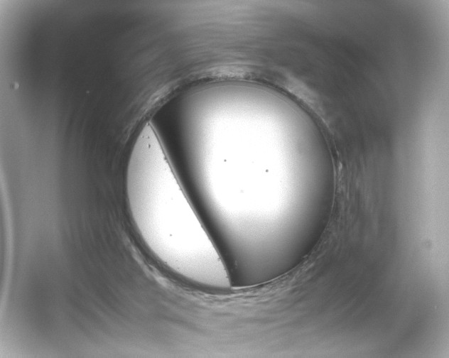 X0000066080013200603101152