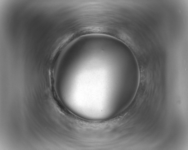 X0000066080014200603101152