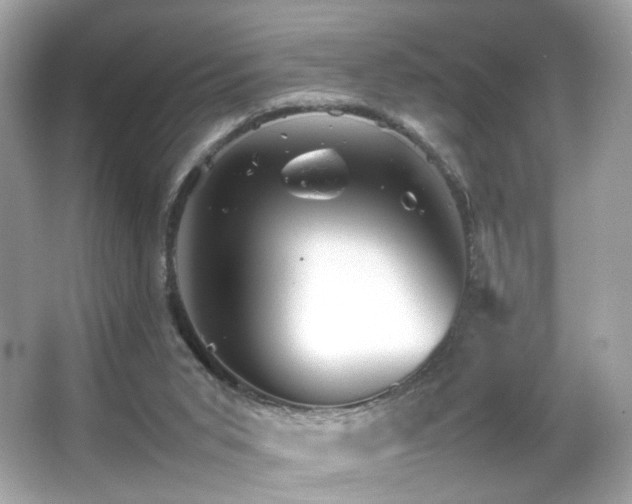 X0000066080015200603101152