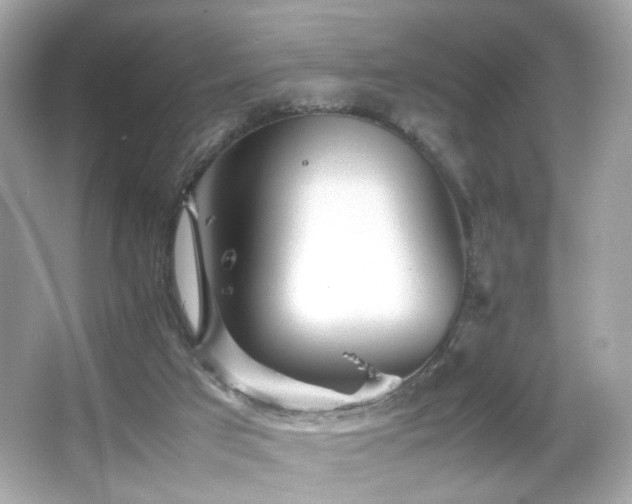 X0000066080017200603101152