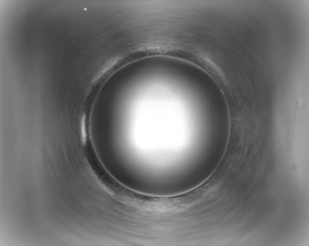 X0000066080020200603101152