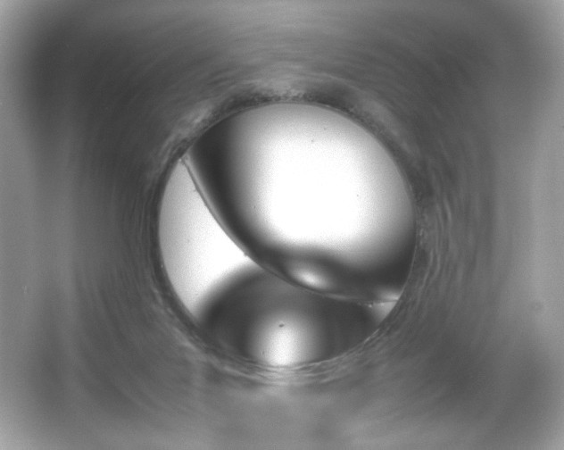 X0000066080023200603101152