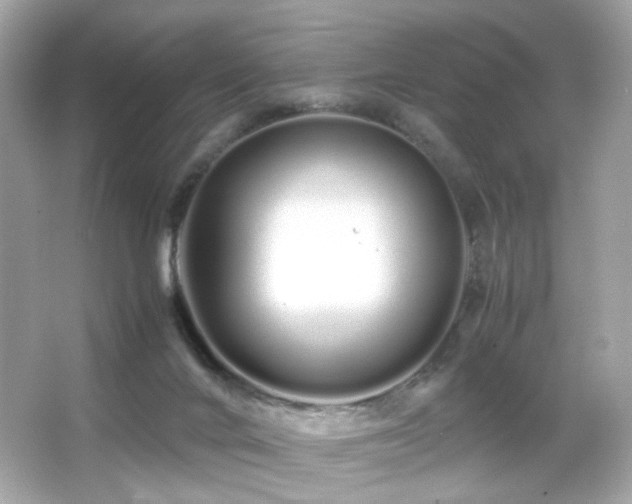 X0000066080024200603101152