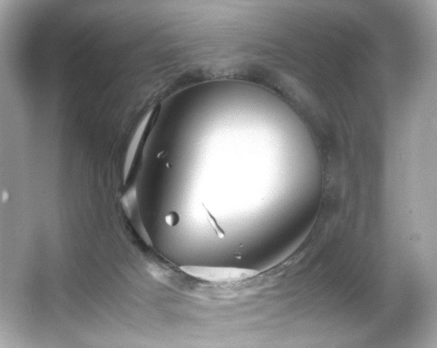 X0000066080025200603101152