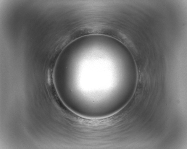 X0000066080026200603101152