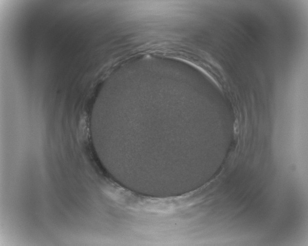 X0000066080029200603101152